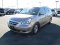 2005 Desert Rock Metallic Honda Odyssey EX-L  photo #3