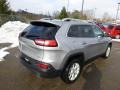 Billet Silver Metallic - Cherokee Latitude Photo No. 6