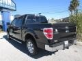 2014 Tuxedo Black Ford F150 XLT SuperCrew  photo #3