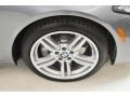 2014 BMW 5 Series 535i Sedan Wheel and Tire Photo