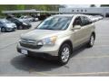 2007 Borrego Beige Metallic Honda CR-V EX-L 4WD  photo #19