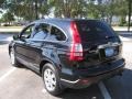 Nighthawk Black Pearl - CR-V EX-L Photo No. 6