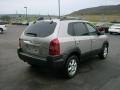 Sahara Silver - Tucson GLS V6 Photo No. 7