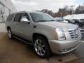 Silver Coast Metallic - Escalade ESV Luxury AWD Photo No. 3