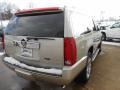 Silver Coast Metallic - Escalade ESV Luxury AWD Photo No. 5