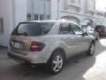 Pewter Metallic - ML 350 4Matic Photo No. 2