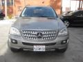 Pewter Metallic - ML 350 4Matic Photo No. 6