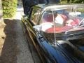 Raven Black - Thunderbird Hardtop Photo No. 2