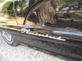 Raven Black - Thunderbird Hardtop Photo No. 22