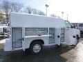 2014 Oxford White Ford E-Series Van E350 Cutaway Commercial  photo #10