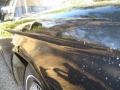 Raven Black - Thunderbird Hardtop Photo No. 26