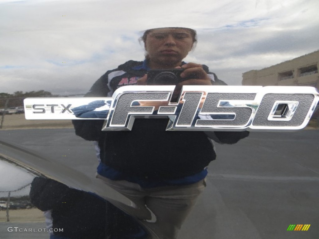 2014 F150 STX SuperCab - Tuxedo Black / Steel Grey photo #14