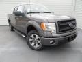 Sterling Grey 2014 Ford F150 STX SuperCab Exterior