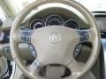 2005 Acura RL Parchment Interior Steering Wheel Photo