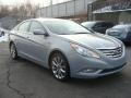 Iridescent Silver Blue Metallic - Sonata SE Photo No. 3