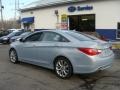 Iridescent Silver Blue Metallic - Sonata SE Photo No. 6