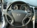Iridescent Silver Blue Metallic - Sonata SE Photo No. 13