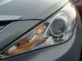 Iridescent Silver Blue Metallic - Sonata SE Photo No. 30