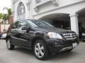 Black - ML 350 Photo No. 1