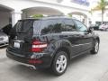 Black - ML 350 Photo No. 2