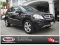 Black - ML 350 Photo No. 26