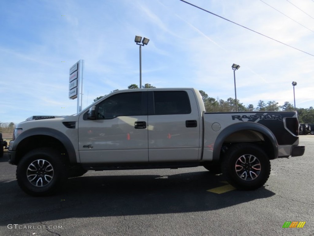 Terrain Metallic 2013 Ford F150 SVT Raptor SuperCrew 4x4 Exterior Photo #89026824