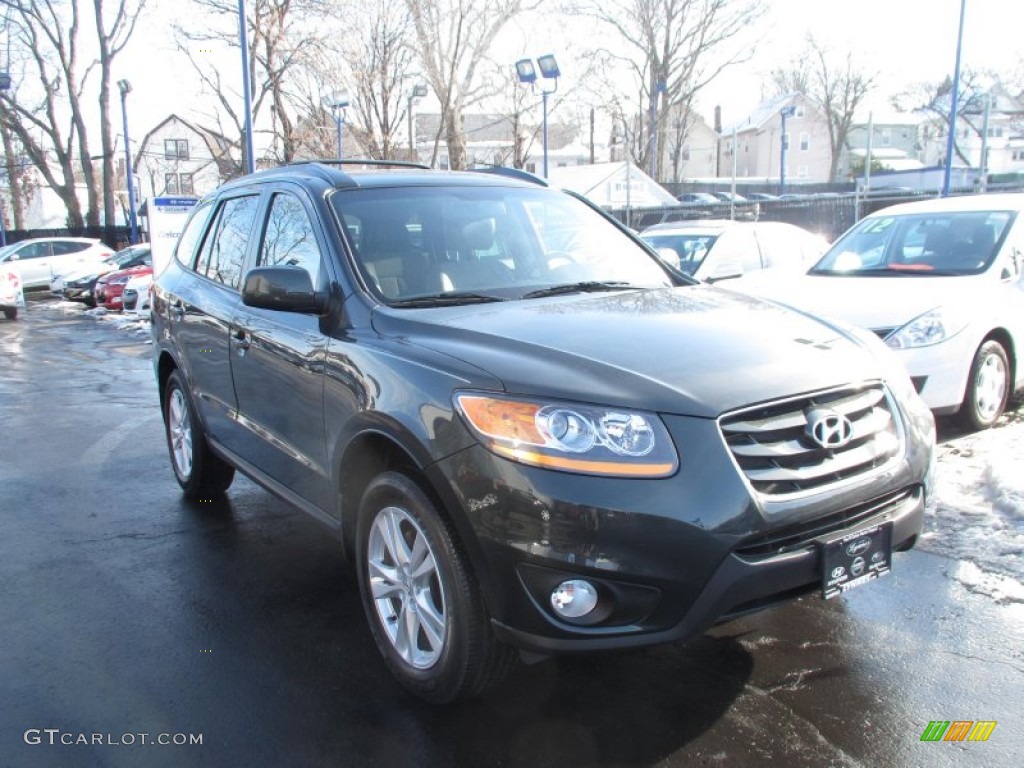 2010 Santa Fe SE - Black Forest Green Metallic / Gray photo #1