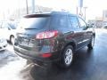 2010 Black Forest Green Metallic Hyundai Santa Fe SE  photo #4