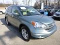 2011 Opal Sage Metallic Honda CR-V EX-L 4WD  photo #7