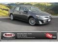 Magnetic Gray Metallic - Avalon Limited Photo No. 1