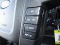 Steel Grey Controls Photo for 2014 Ford F150 #89035998