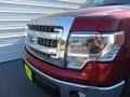 2014 Ruby Red Ford F150 XLT SuperCrew  photo #12