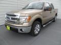 Pale Adobe - F150 XLT SuperCrew Photo No. 7