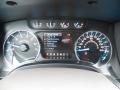Pale Adobe Gauges Photo for 2014 Ford F150 #89051139