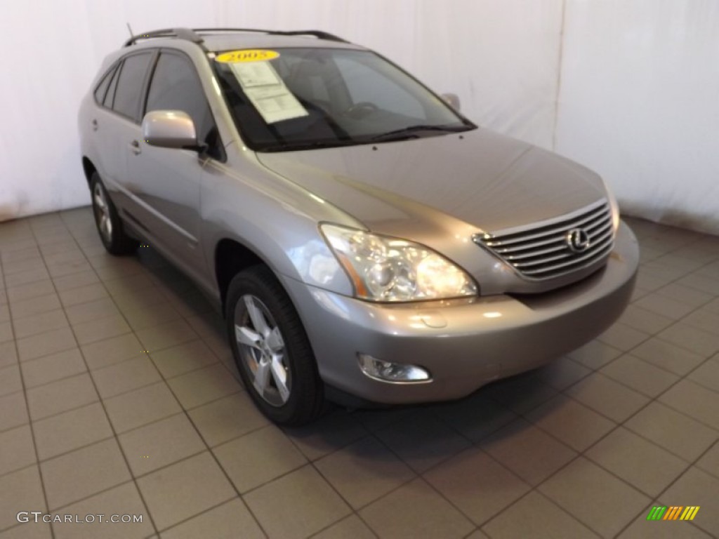 2005 RX 330 Thundercloud Edition - Thunder Cloud Metallic / Light Gray photo #1