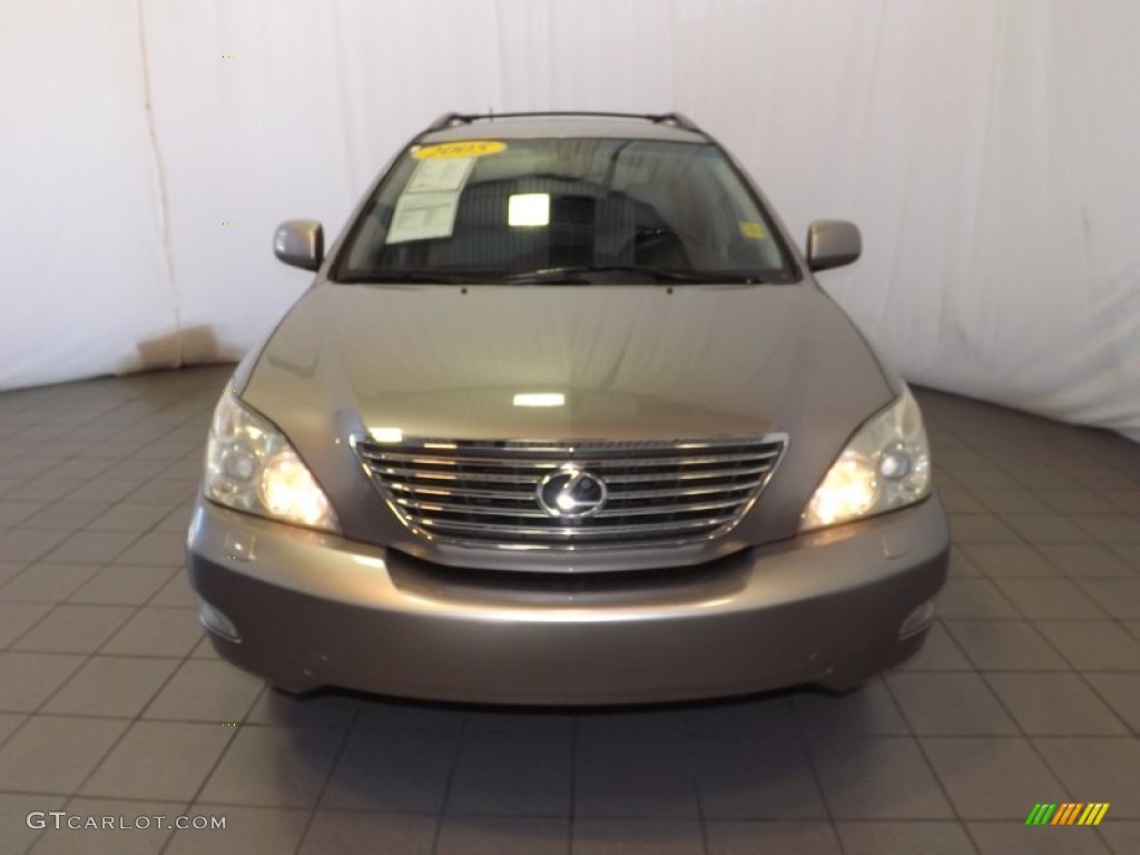 2005 RX 330 Thundercloud Edition - Thunder Cloud Metallic / Light Gray photo #2