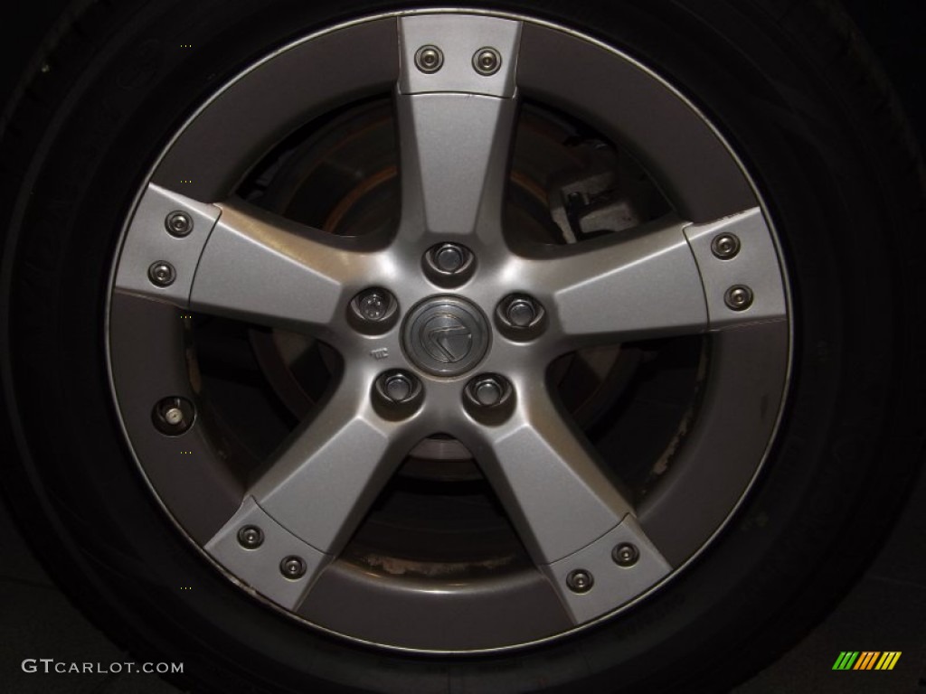 2005 RX 330 Thundercloud Edition - Thunder Cloud Metallic / Light Gray photo #8
