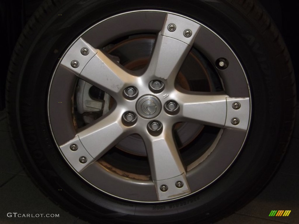 2005 RX 330 Thundercloud Edition - Thunder Cloud Metallic / Light Gray photo #9