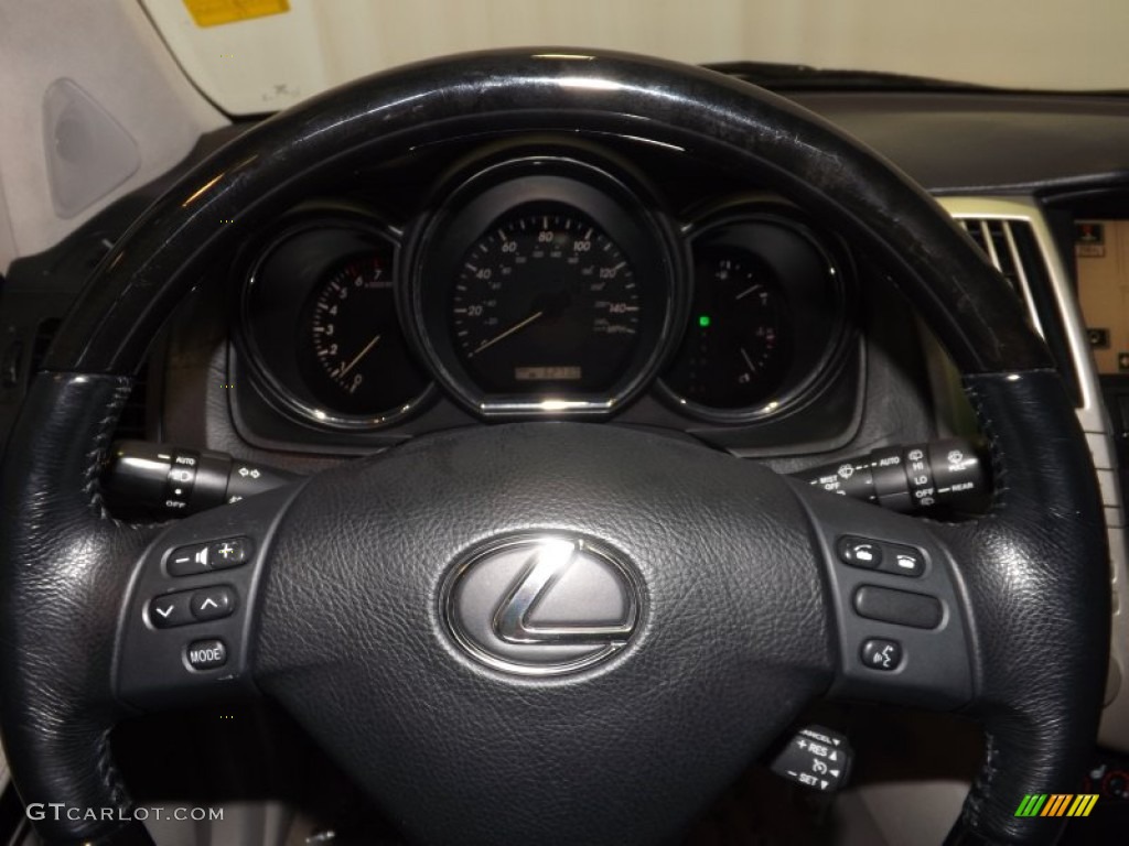 2005 RX 330 Thundercloud Edition - Thunder Cloud Metallic / Light Gray photo #21