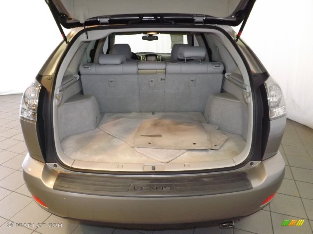 2005 RX 330 Thundercloud Edition - Thunder Cloud Metallic / Light Gray photo #27