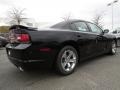 Pitch Black - Charger SE Photo No. 3