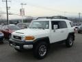 Iceberg White - FJ Cruiser 4WD Photo No. 3