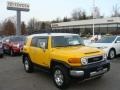Sun Fusion - FJ Cruiser 4WD Photo No. 1