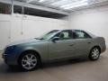 Silver Green - CTS Sedan Photo No. 4