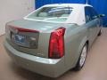 Silver Green - CTS Sedan Photo No. 7
