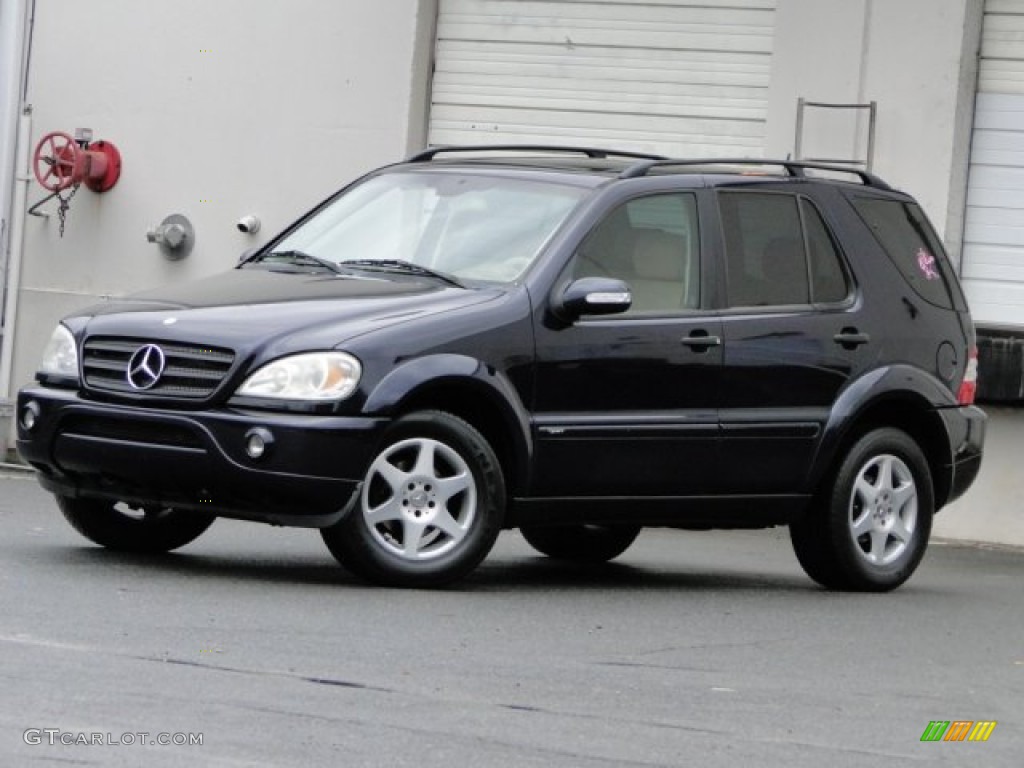 2003 ML 350 4Matic - Orion Blue Metallic / Java photo #3