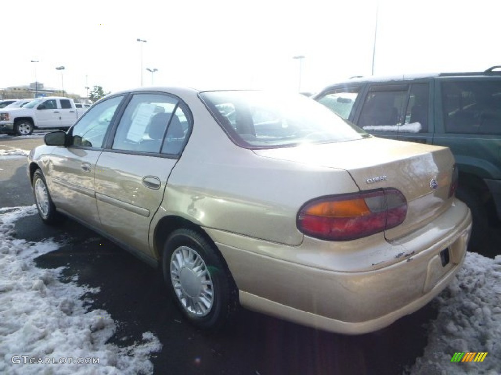 2005 Classic  - Light Driftwood Metallic / Neutral photo #2