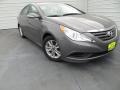 Harbor Gray Metallic - Sonata GLS Photo No. 2