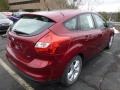 Ruby Red - Focus SE Hatchback Photo No. 2