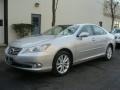 Tungsten Silver Pearl - ES 350 Photo No. 1